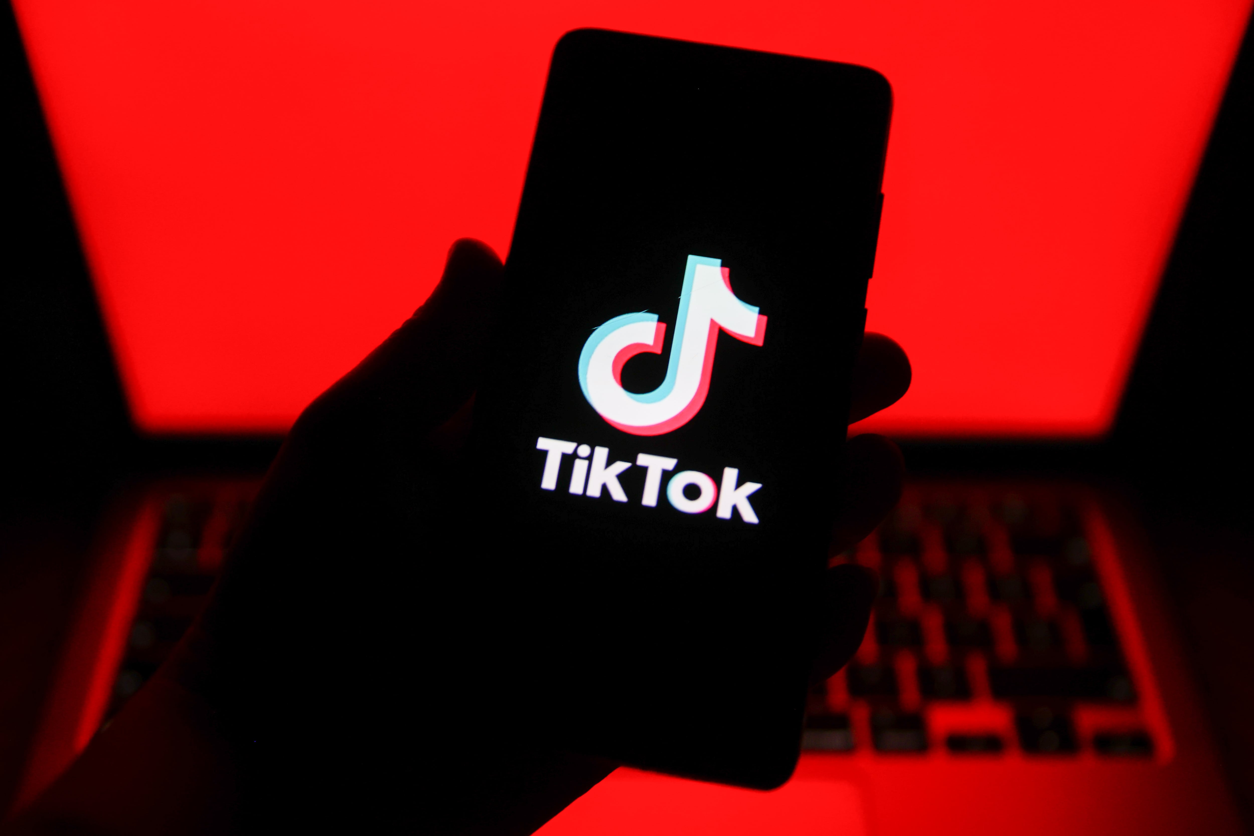 TikTok posts in alleged support of Islamic State lead to arrest of Quebec man