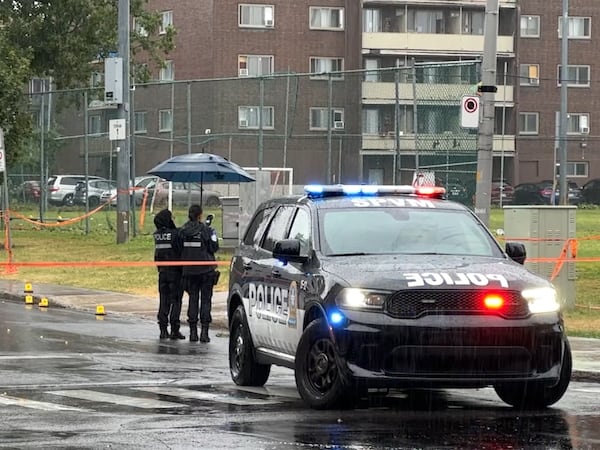 Young man facing murder charge in 2025 park stabbing death, assaults